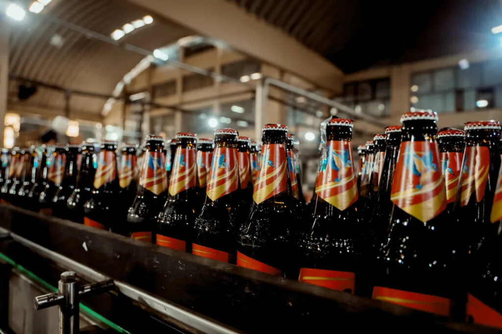 Beer bottles on the production line